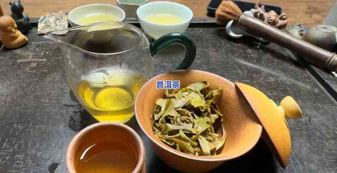 老班章喝茶视频大全-老班章喝茶视频大全图片