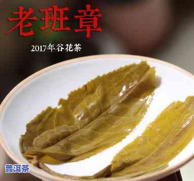 老班章100克茶叶-老班章茶叶多少钱