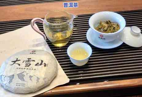 普洱茶有哪些大小山头的特点，探索普洱茶的风味世界：各大山头的特别特点解析