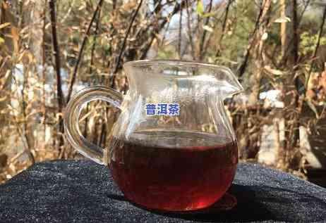 老班章王普洱茶价格表：2003年至今的历史走势与最新报价