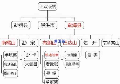 普洱茶是什么分类方法的茶，探秘普洱茶：熟悉其分类方法与特点