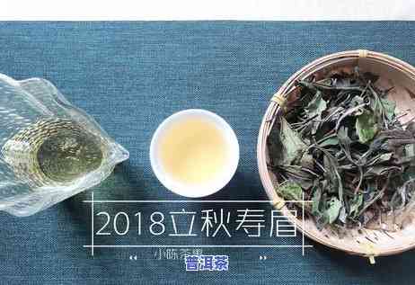 陈皮普洱茶保存年限，探究陈皮普洱茶的保存年限：怎样让其保持更佳口感与香气？