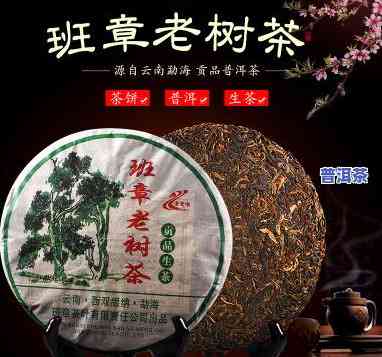 老班章2006生茶价格：历史与现状对比