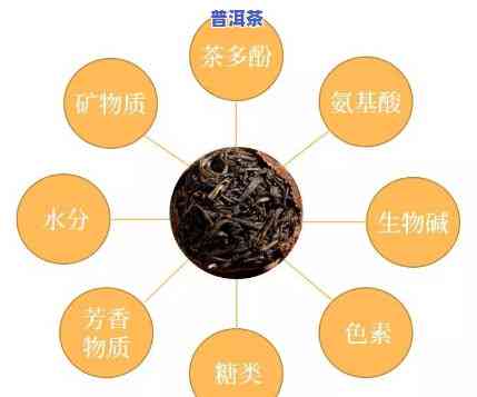 喝普洱茶能抗新冠病吗？科学解析起因