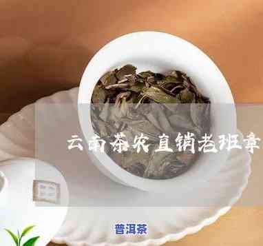 2006年云河老班章，探秘2006年云河老班章：一种特别普洱茶的魅力所在