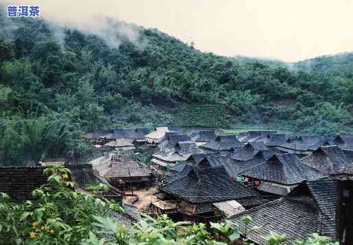 布朗山老班章村，探寻普洱茶的源头：布朗山老班章村之旅