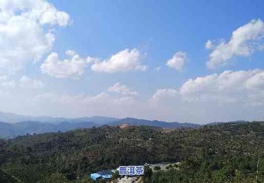 布朗山老班章村，探寻普洱茶的源头：布朗山老班章村之旅