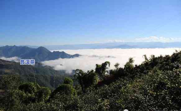 云南普洱茶产地海拔，揭秘云南普洱茶的生长环境：海拔高度对茶叶品质的作用