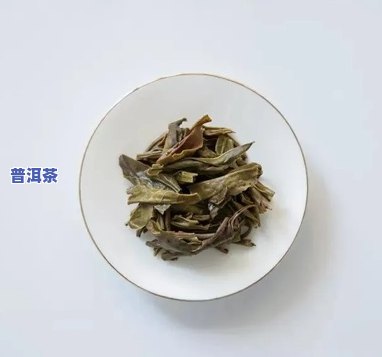 普洱茶梗太多，口感受作用？解决方法大公开！