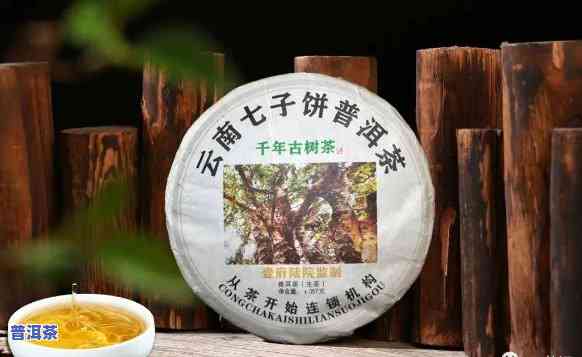 千年古树普洱茶图片价格大全，探索千年古树普洱茶的美丽世界：图片与价格全览