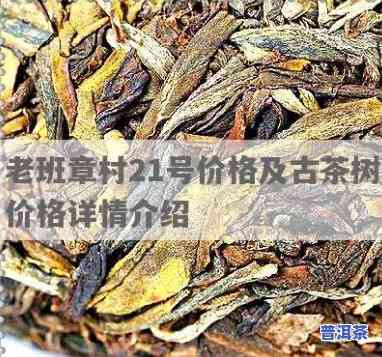 老班章村21号价格，探访老班章村21号：揭秘其茶叶的价格