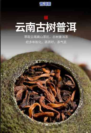 江门柑皮普洱茶零售商家-江门柑皮普洱茶零售商家电话