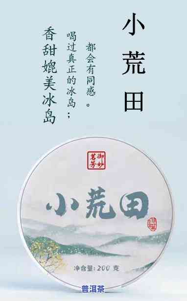 小荒田古树普洱茶特点，探秘小荒田古树普洱茶的特别魅力