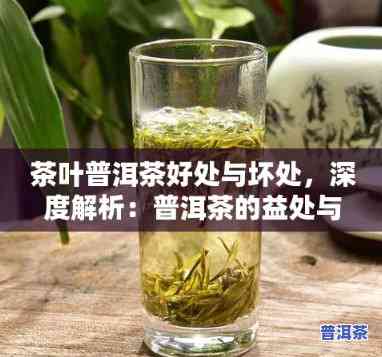 普洱有什么好处和坏处，探究普洱茶的益处与风险：全面解析其好处和坏处