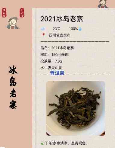 冰岛茶与老班章茶：特点与区别全解析