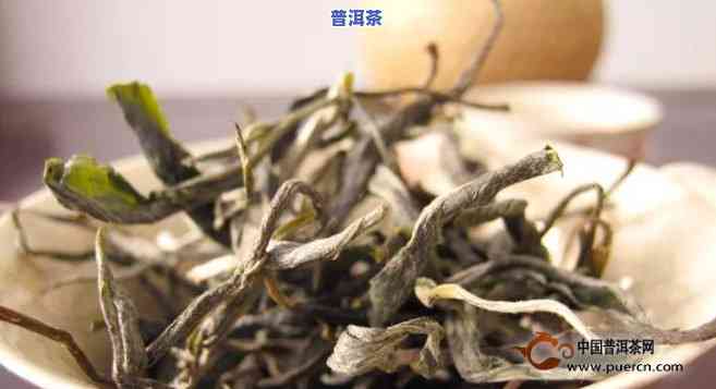 冰岛茶与老班章茶：特点与区别全解析