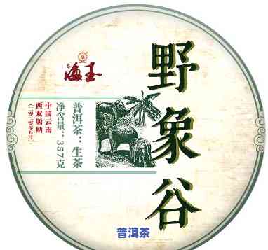 野象谷普洱茶的特点介绍-野象谷普洱茶的特点介绍图片