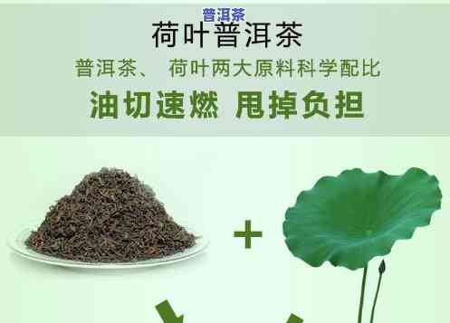 荷叶包装普洱茶教程视频-荷叶包装普洱茶教程视频大全