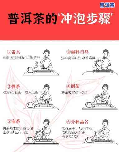 普洱茶球冲泡方法图解大全：详解步骤与技巧