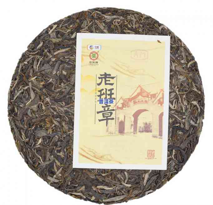 老班章古茶园有多少亩？茶园面积与古树茶厂解析