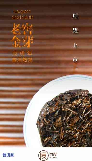 普洱茶金芽的含义与价格全解析