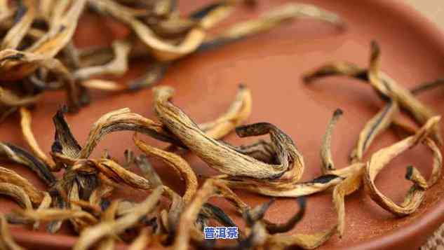 普洱茶金芽的含义与价格全解析