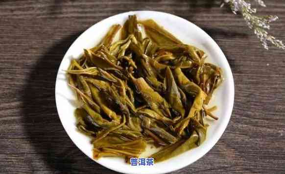 普洱茶毛料的含义解析：全面解答‘普洱茶毛料是什么意思’