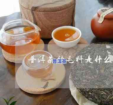 普洱茶毛料的含义解析：全面解答‘普洱茶毛料是什么意思’