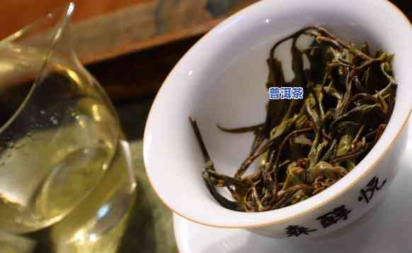 普洱茶的口粮茶：定义与含义解析