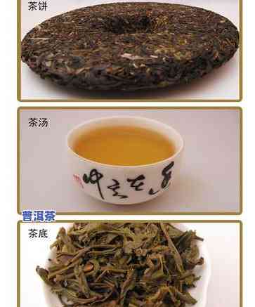 普洱茶饼好还是茶砖好，普洱茶饼与茶砖：哪个更好？