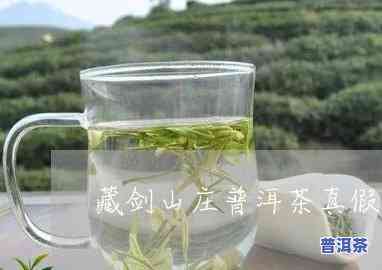 藏剑山庄普洱茶真伪怎么查，怎样辨别藏剑山庄普洱茶的真伪？