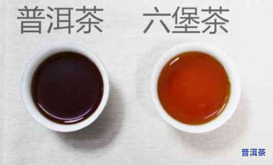 六堡茶好还是普洱茶好喝-六堡茶好还是普洱茶好喝一点