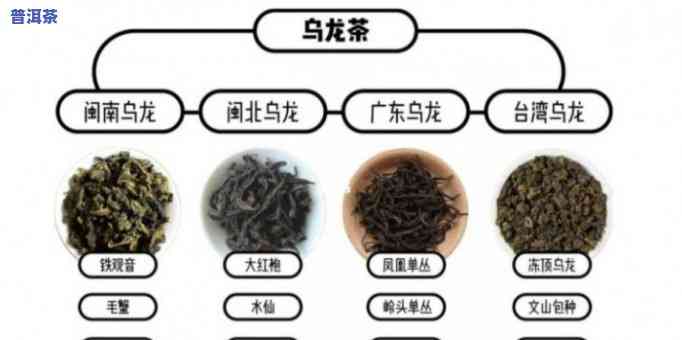 乌龙茶红茶绿茶普洱-乌龙茶红茶绿茶普洱茶分别介绍一下