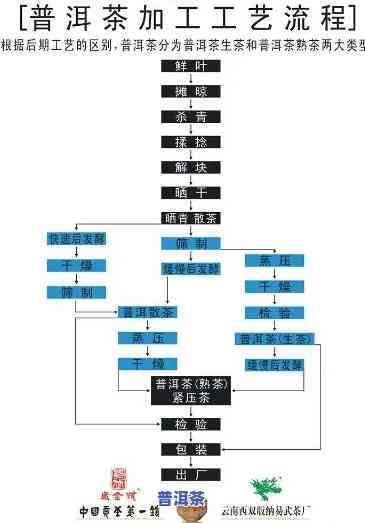揭秘普洱茶生产车间：从选料到成品的全过程