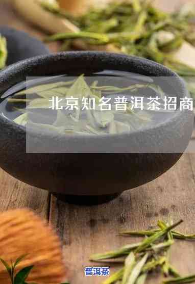 北京知名普洱茶招商网点有哪些，探索北京：知名普洱茶招商网点全览