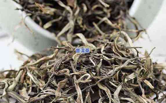 老班章茶叶口感特点-老班章茶的口感特点