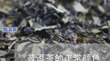 普洱茶灰分颜色揭秘：实拍图解析