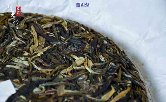 勐宋普洱茶的特性特点是-勐宋普洱茶的特性特点是什么