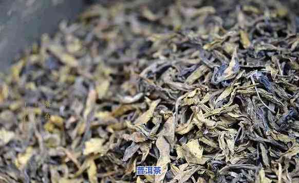 金芽饼普洱茶价格多少钱一斤，揭秘金芽饼普洱茶价格：一斤要多少钱？