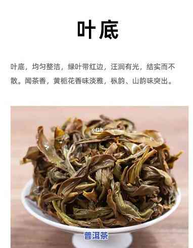 哪些茶属于黄枝香普洱茶类？请详解不同类型与分类