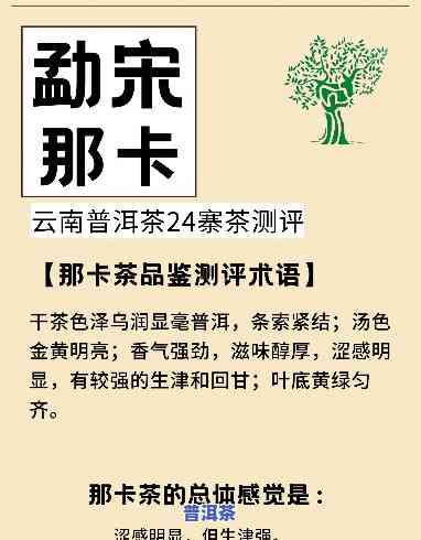 勐宋普洱茶为什么好喝呢-勐宋普洱茶为什么好喝呢