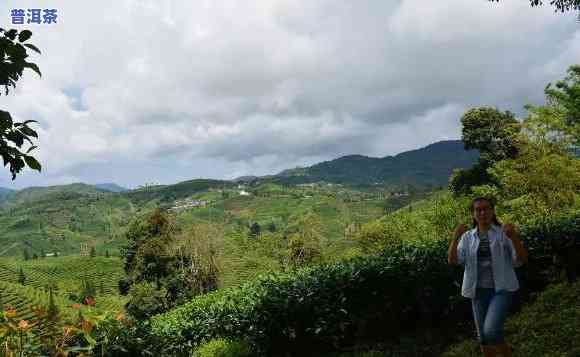 普洱茶博园时长多少分钟啊，探秘普洱茶博园：熟悉其历史与文化，游览时长约多久？