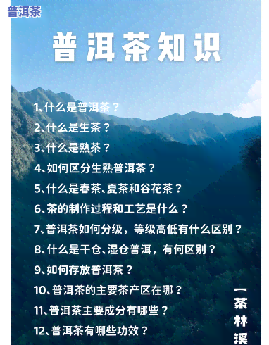 普洱茶知识讲解推荐课堂视频大全下载