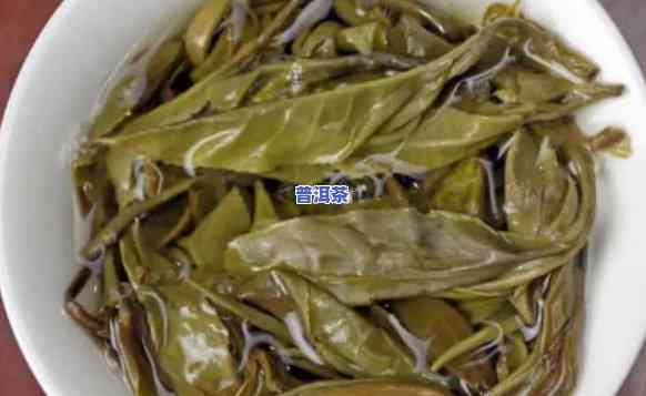 老班章是熟茶还是生茶，揭秘茶叶珍品：老班章，究竟是熟茶还是生茶？