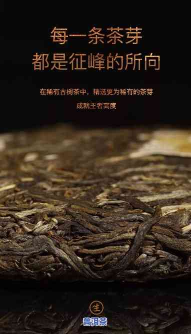 最接近老班章的茶，探索顶级普洱茶：最接近老班章口感的选择