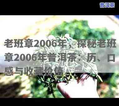 06年老班章能喝不-2006年的老班章