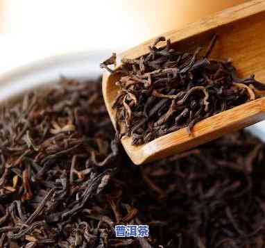 广西普洱茶售价多少一斤-广西普洱茶售价多少一斤呢