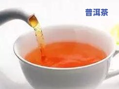 冬天喝红茶还是普洱茶好？专家解析比较