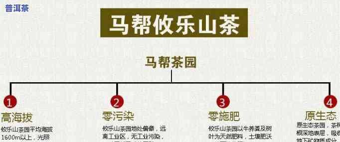 攸乐普洱茶历史渊源简介-攸乐普洱茶历史渊源简介图片