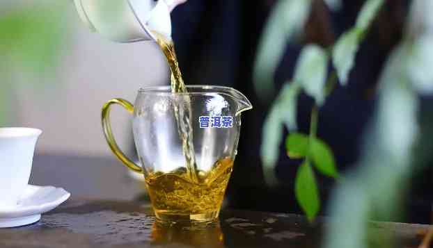 普洱茶生津回甘的原理，探秘普洱茶的生津回甘：揭开其特别口感的秘密